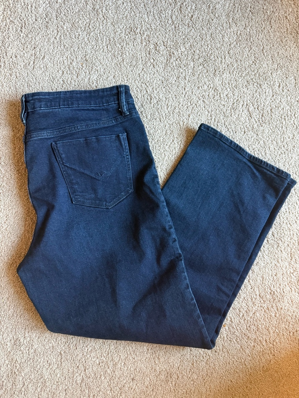 Hudson Jeans Size 16 Dark Wash Straight Leg Premium Denim Pants